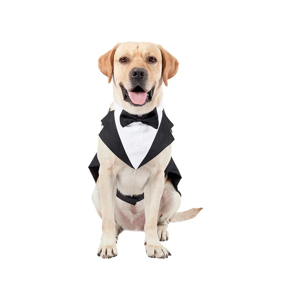 S876da672c77043a2911d06c332c7f505i_9a5b9883-c8af-4c61-8ee0-c409a0c0c999 - bestdoggylife.shop