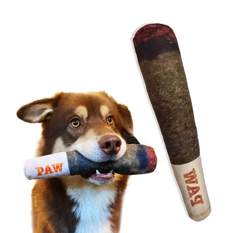plush squeaky dog toys for dogs, soft stuffed chew toy for medium and large pets, cute birthday gift
