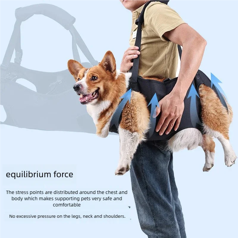 Dog-Assisted Rehabilitation Exercises for Elderly Disabled Dogs, Take You Upstairs and Help with Carrying Pet Backpacks.