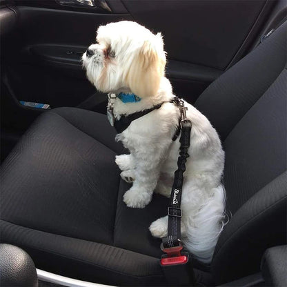 S87f4a1c11e094b3b9c36cdb4ae3700dar - bestdoggylife.shop