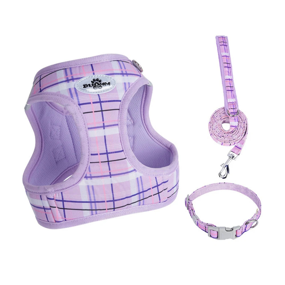 Plaid pet leash set in purple with harness, leash, and collar for cats and dogs, adjustable nylon pet walking accessories