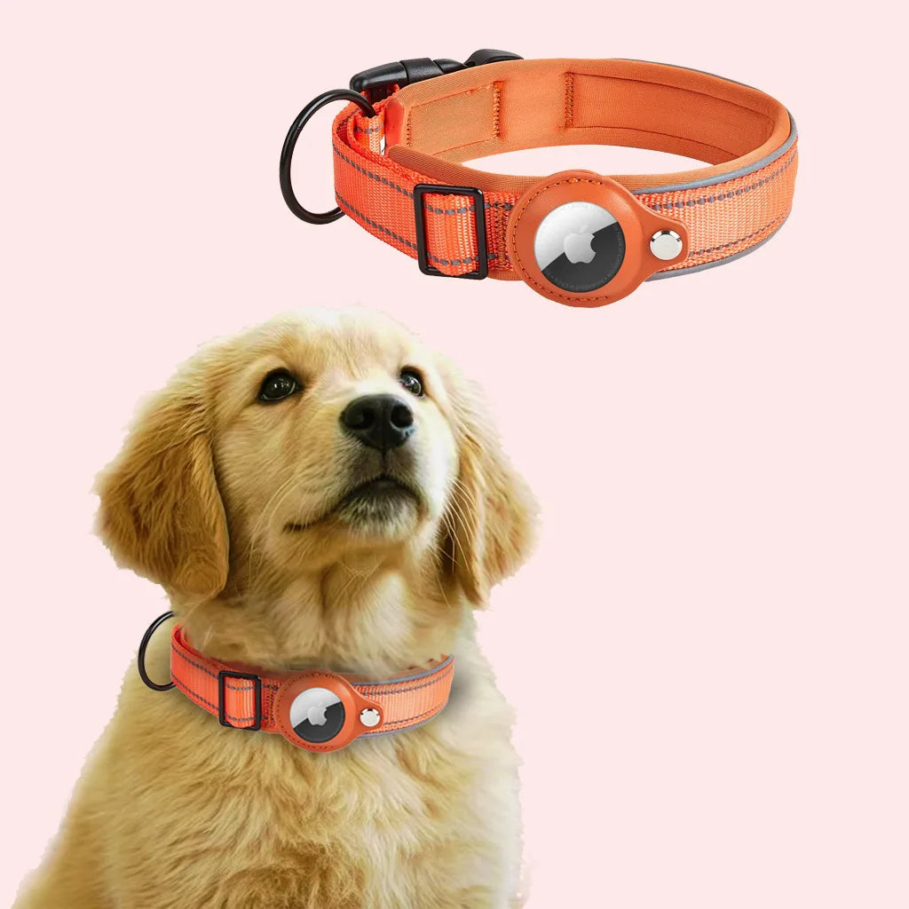 Golden retriever puppy wearing an orange GPS tracker dog collar, with collar close-up above.