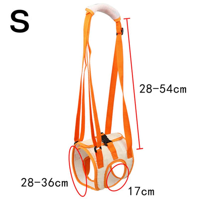 Dog Balance Support Belt Dog Hind Legs Auxiliary Belt For Recovery Disability Leg Brace Hind Leg Help Walking Harness in orange color with size specifications.