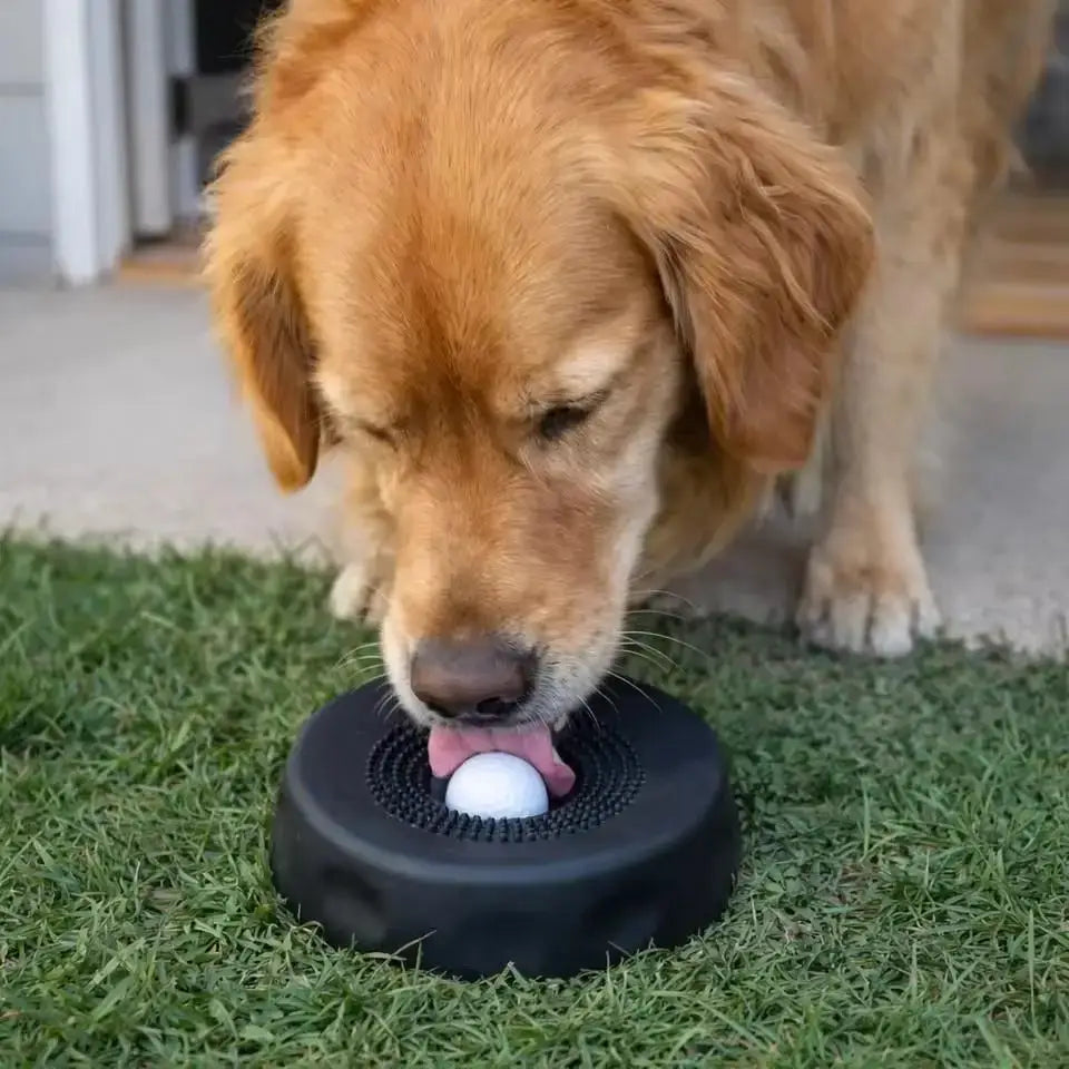 Golden retriever using a slow feeder dog bowl to eat slowly and reduce overflow on grass