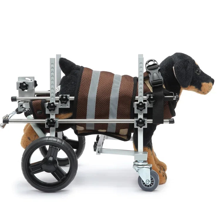 S890241f511cc45998faa88e5a236b7fd6 - bestdoggylife.shop