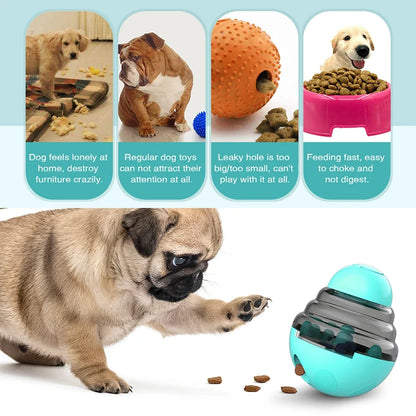S896edef55c314b8b885fcfbbed99a6bcs - bestdoggylife.shop