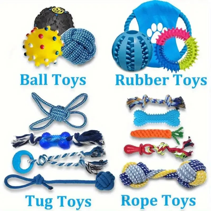 Assorted dog toys including ball toys, rubber toys, tug toys, and rope toys on white background.