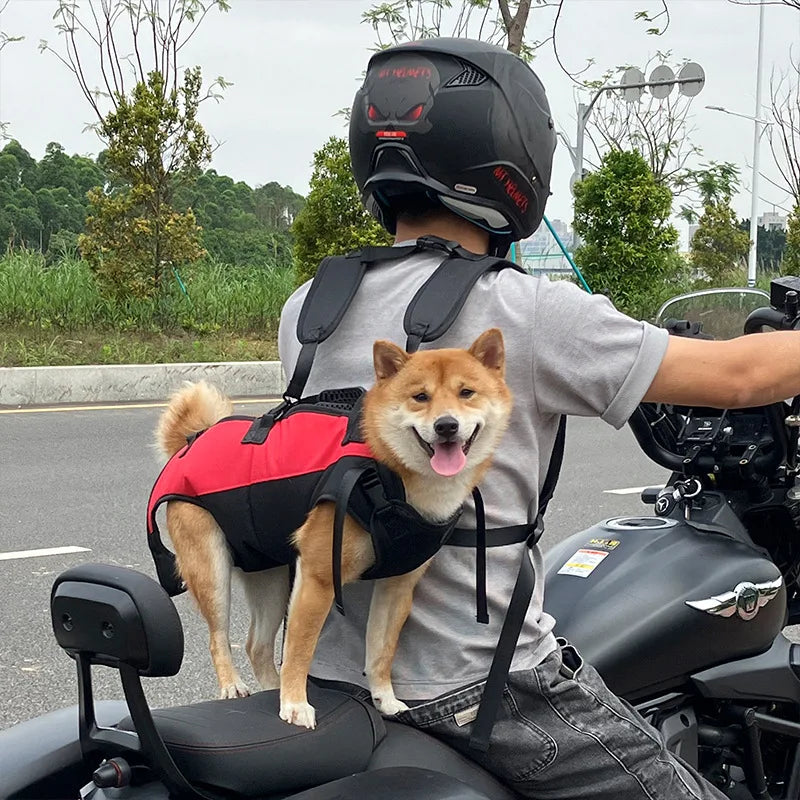Dog backpack carrier for hiking and biking with breathable support, adjustable straps, and secure belly fit on a motorcycle