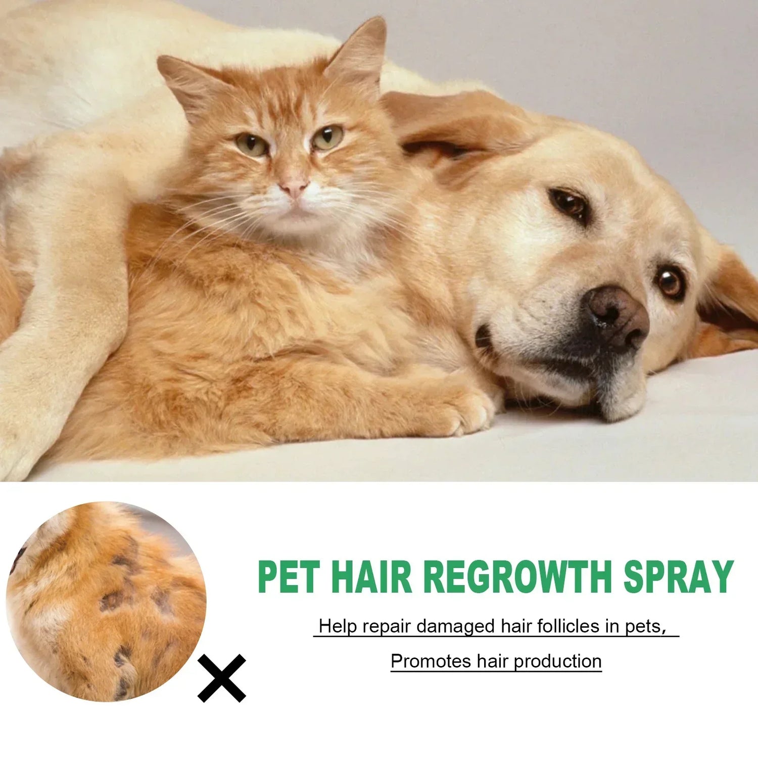 dog hair loss supplement for s and dogs, pet hair regrowth spray for bald spots and healthy fur
