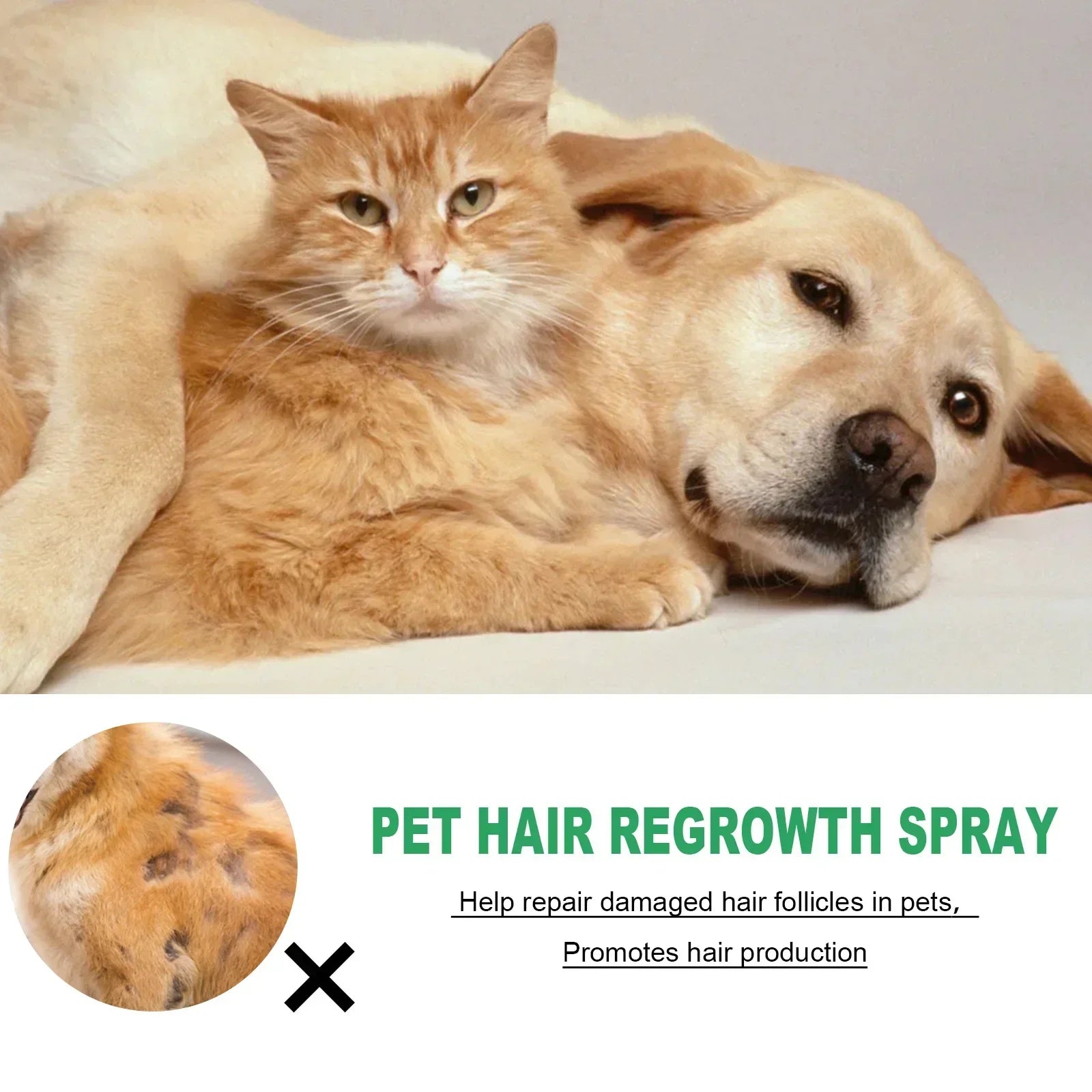 dog hair loss supplement for s and dogs, pet hair regrowth spray for bald spots and healthy fur