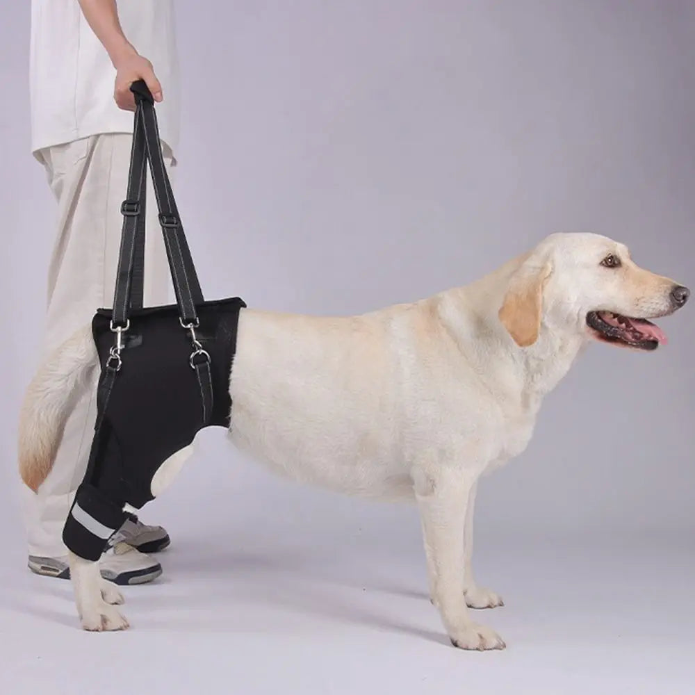 Legs Hip Support Dog Lift Harness Black Adjustable Pet Aid Assist Tool Sturdy Handle Reflective Strip Walking Support Straps