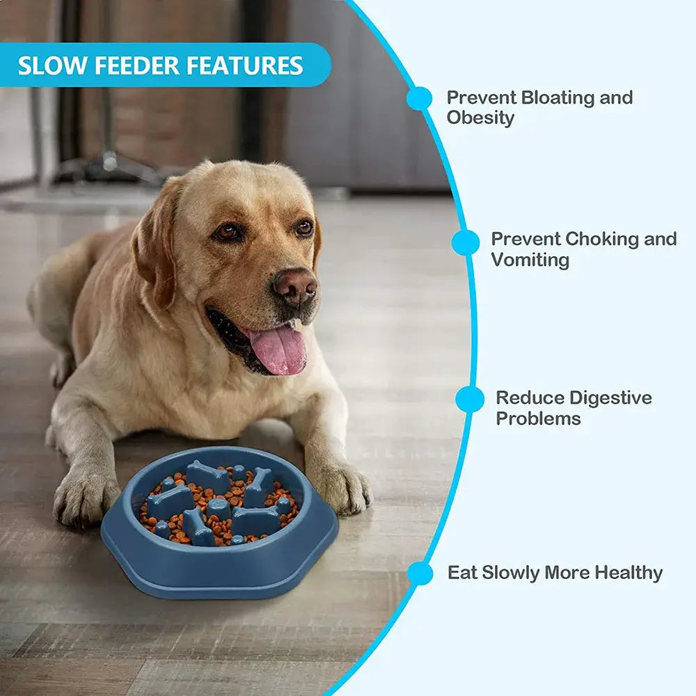 slow feeder dog bowl for dogs to prevent bloating, choking, vomiting, and digestive problems with interactive slow eating design