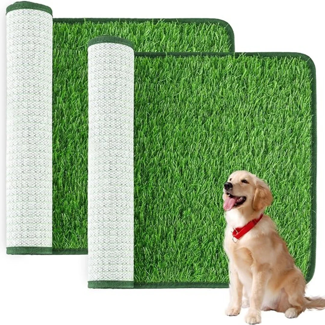 Dog turf potty pads with artificial grass and a happy golden retriever sitting nearby