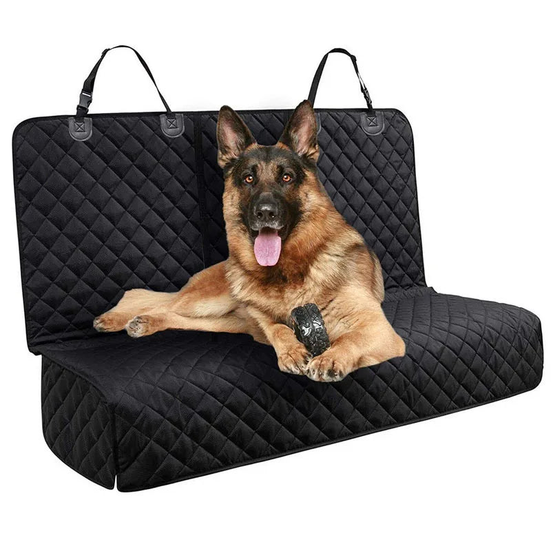 S8b65c91b53fa482fa33f5969ee49a0bab - bestdoggylife.shop