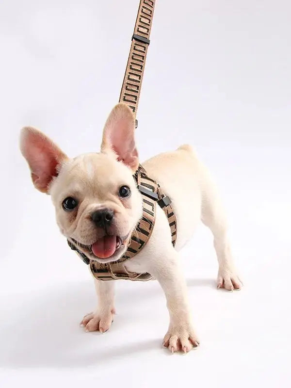personalized no pull dog harness for small dogs, adjustable pet walking training vest with free engraving and leash