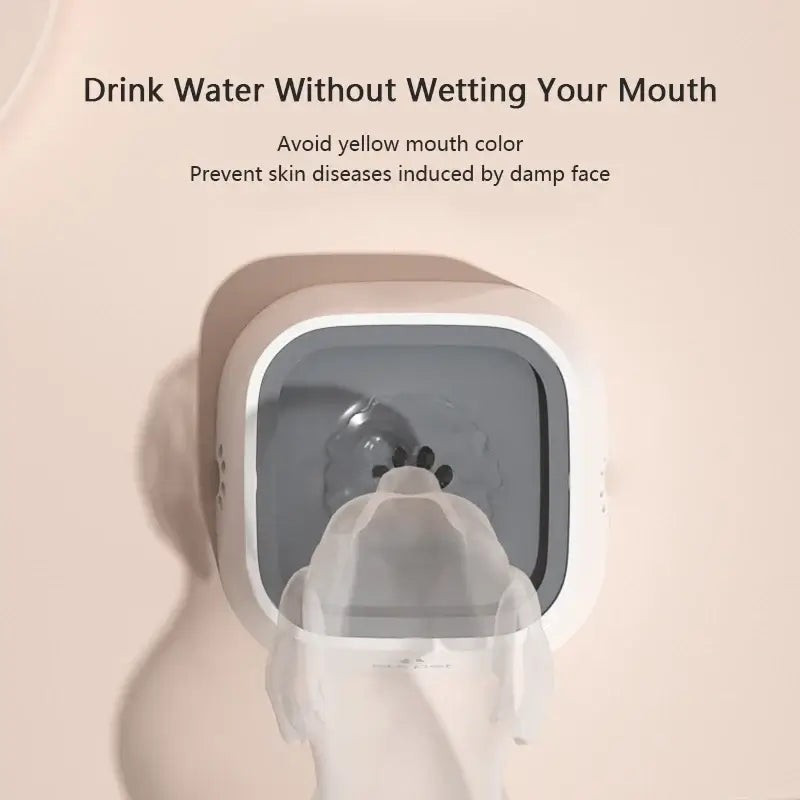 no-spill dog water bowl prevents splashing, keeps your dog’s mouth dry, and provides easy drinking with a large-capacity feeder