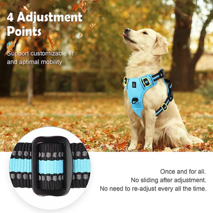 S8c5f4f8dce064a678f3ccc7d44fc5fc5M - bestdoggylife.shop