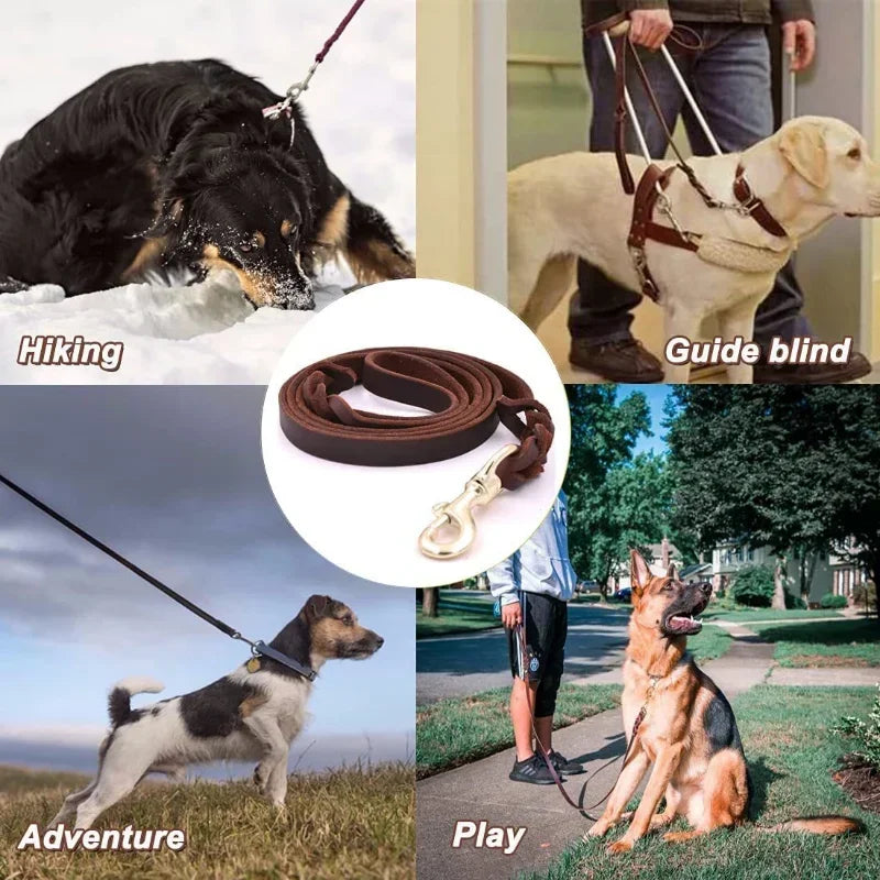 S8c89f73341924778a767016118bac20eB - bestdoggylife.shop