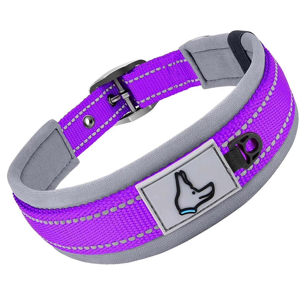 S8d50bcf9ab344daab0b1c60f8add964e4 - bestdoggylife.shop