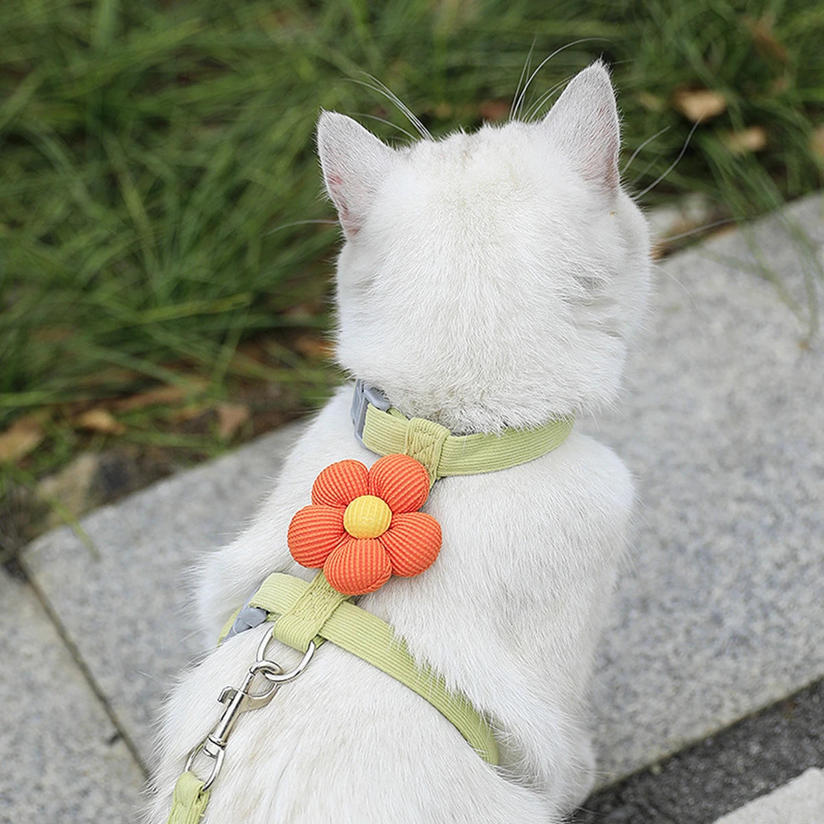 White cat wearing adjustable small dog harness leash set with flower detail for safe walking