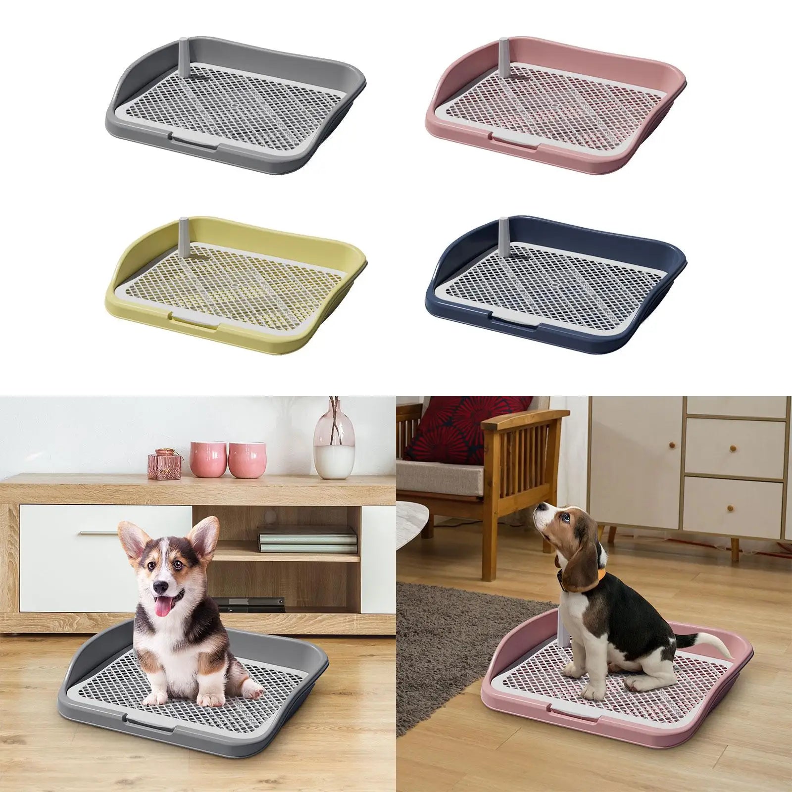 Colorful plastic dog potty training trays with grid, two puppies using trays indoors