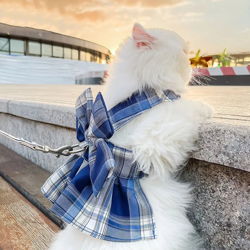 white cat wearing plaid pet dress with leash outdoors at sunset