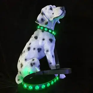 luminous dog collar on Dalmatian for safe night walking, rechargeable glowing pet necklace with green lights