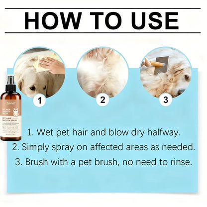 How to use waterless dry shampoo for dogs and s: wet, spray, brush, no rinse needed