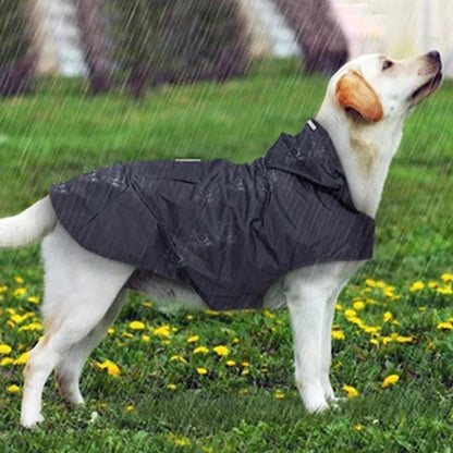 S8fa10e7ab4674645a0b9037bb3641476Q_d66daf77-1f04-4107-b4ef-b5ac9860e2d3 - bestdoggylife.shop