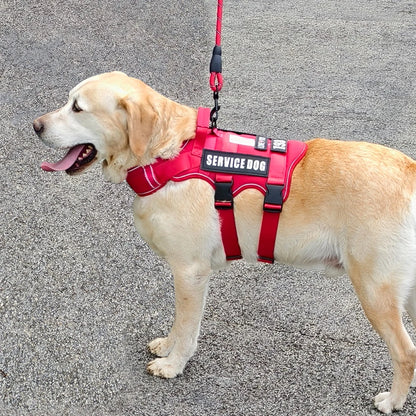 S90f4007797ec4047838f9af651b1d7b7d_bccc2227-dfda-4383-89cd-9e66826a2dae - bestdoggylife.shop