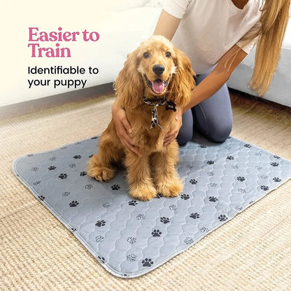 Happy dog sitting on a gray paw print dog training mat with owner indoors