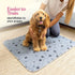 Happy dog sitting on a gray paw print dog training mat with owner indoors