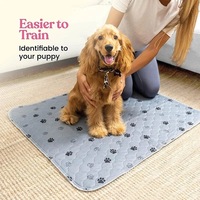 Dog Urine Pads Washable Reusable Anti Slip Pet Pee Pad Puppy Training Pad Pet Bed Urine Mat for Car Seat Cover Pet Supplies with puppy