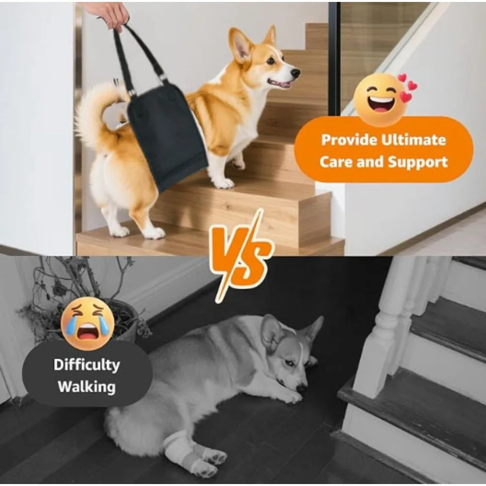 Dog Rear Leg Support Harness - Mobility Aid for Post-Surgical Pets, Assist with Walking and Standing