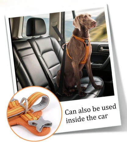 Dog Leash Anti-Pull Pet Harness Comfortable Outdoor Dog Leash Reflective Dog Harness Durable and Stain-Resistant inside the car.