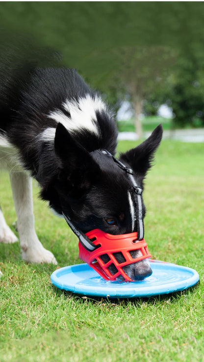 S924cd94b64c64d64b006b53c399b4e9eM_55028331-142e-45ef-8b4d-319602ea499c - bestdoggylife.shop