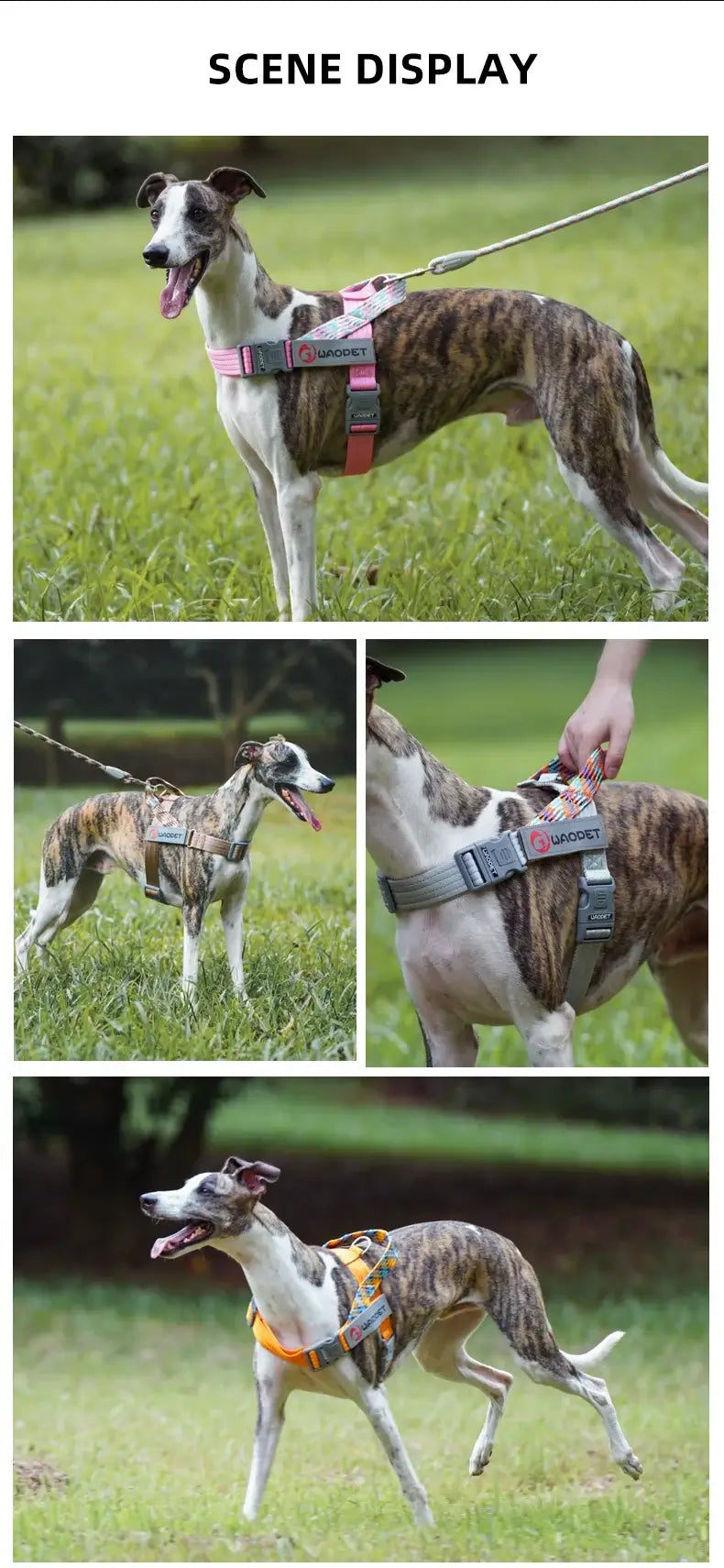 no pull dog harness for medium and large dogs, reflective durable nylon walking harness in creative design