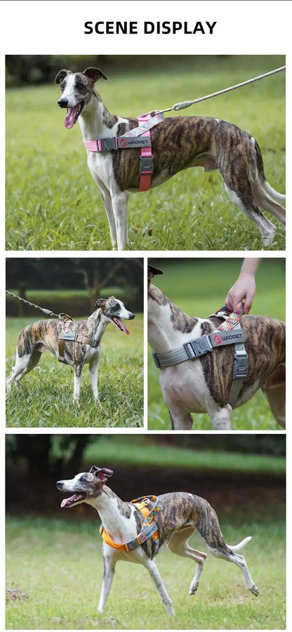 no pull dog harness for medium and large dogs, reflective durable nylon walking harness in creative design