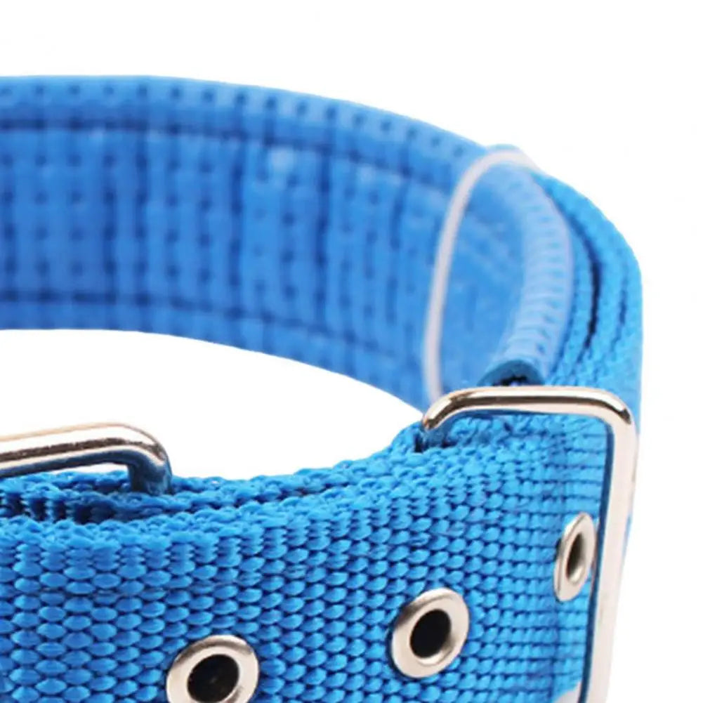 S92aa45c8db934f8794454b403f83c74fF - bestdoggylife.shop