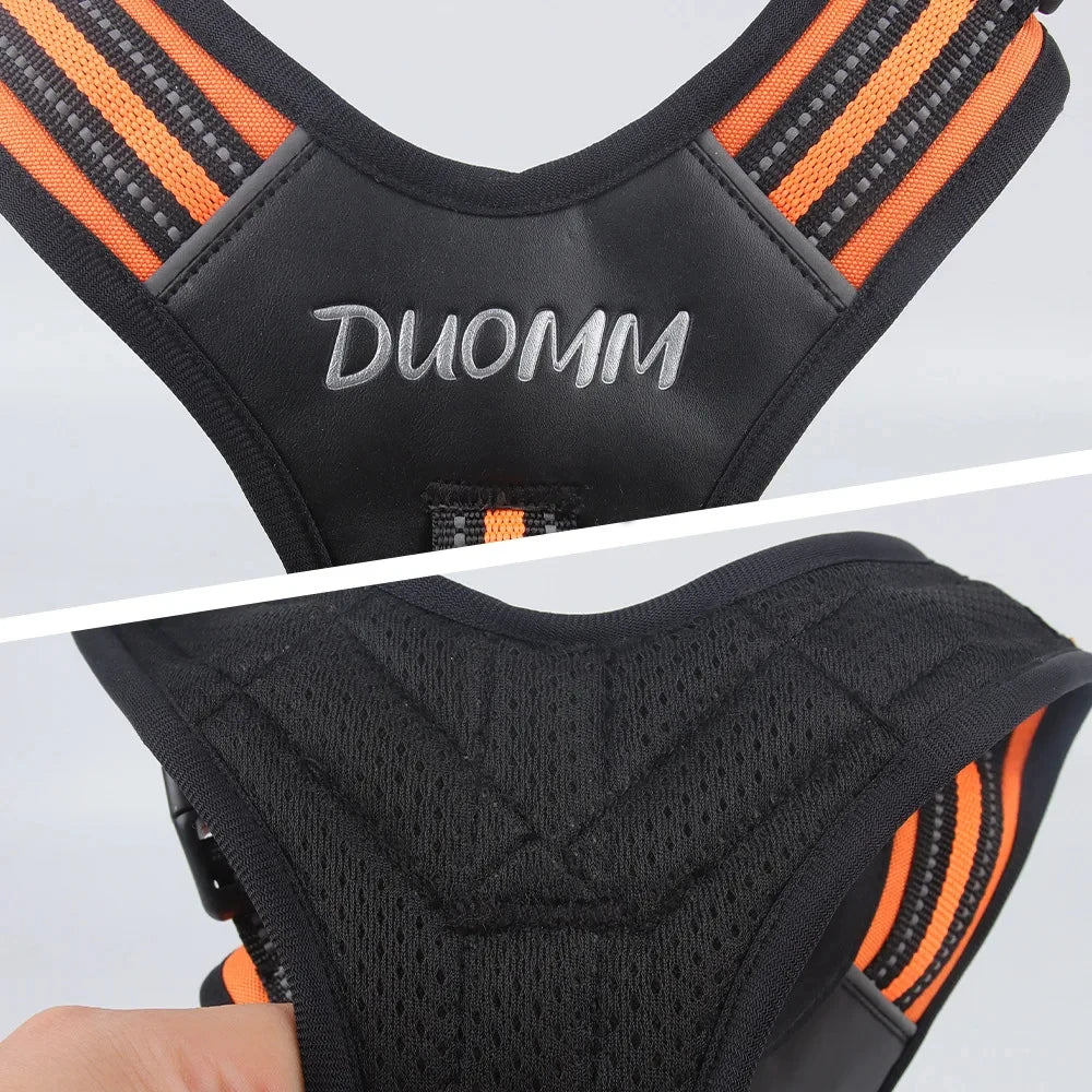 S9337d1bc8f9445d59e2e732379359e3bx - bestdoggylife.shop