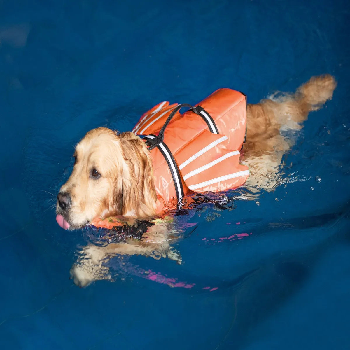 reflective adjustable dog life jacket for large dogs swimming safely in orange buoyancy vest