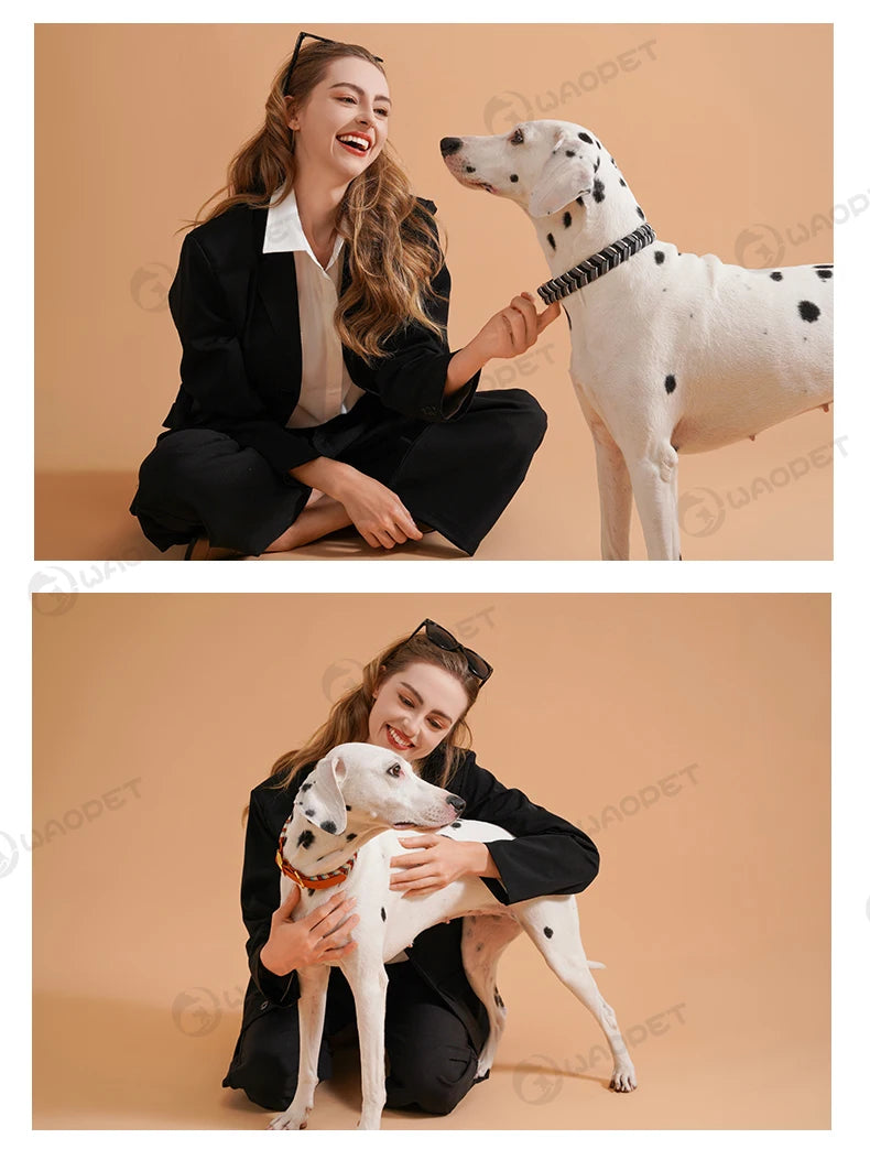 S9396ae059f354d0eb0c30df8d0923239Z - bestdoggylife.shop