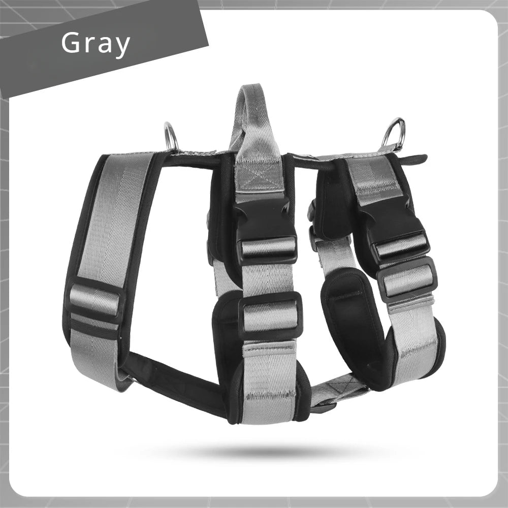 Gray adjustable dog harness with sturdy buckles and reflective straps on white background.