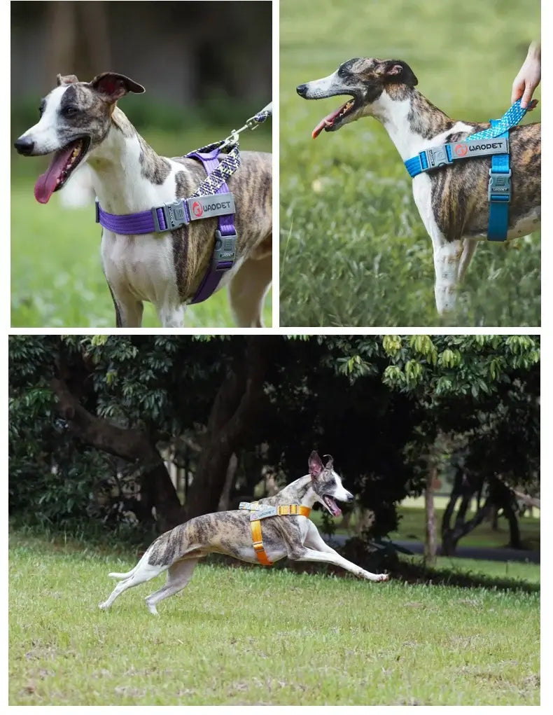 no pull dog harness for medium and large dogs, durable reflective nylon walking harness with quick release buckle