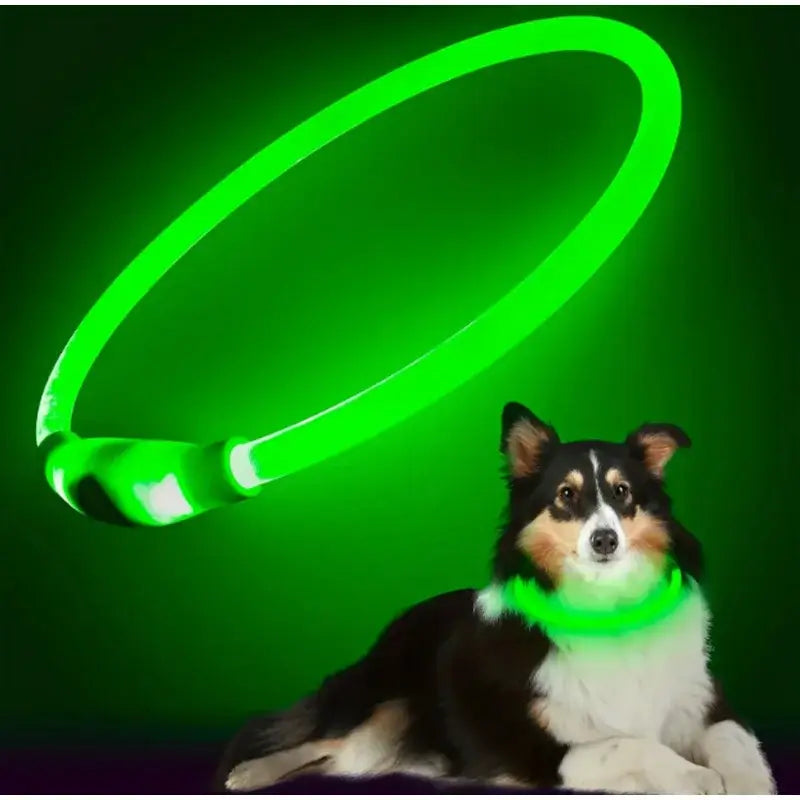 Bright green LED dog collar for night safety, USB rechargeable luminous collar for small to large dogs