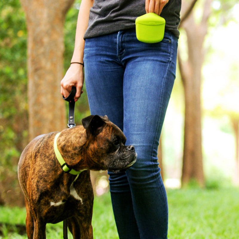 S952687f7555a431da31843e2363e76d8M - bestdoggylife.shop