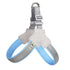 Adjustable grey and blue padded dog harness with secure buckle and metal D-ring