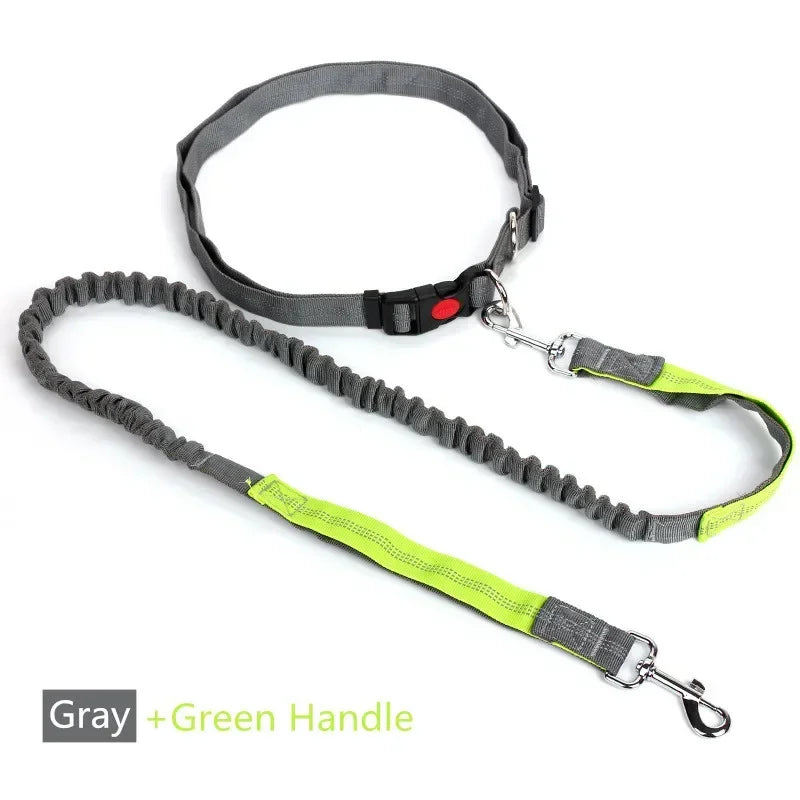 S95511b8e001b4d5f886b9b05b611e353Q - bestdoggylife.shop