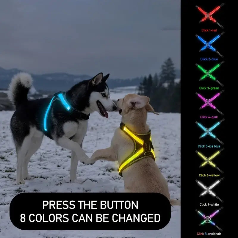 LED dog harness for night safety, rechargeable flashing light up vest with 8 color changes for dogs