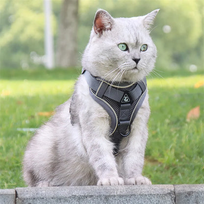 reflective cat harness and leash set on a cat wearing a breathable mesh vest outdoors
